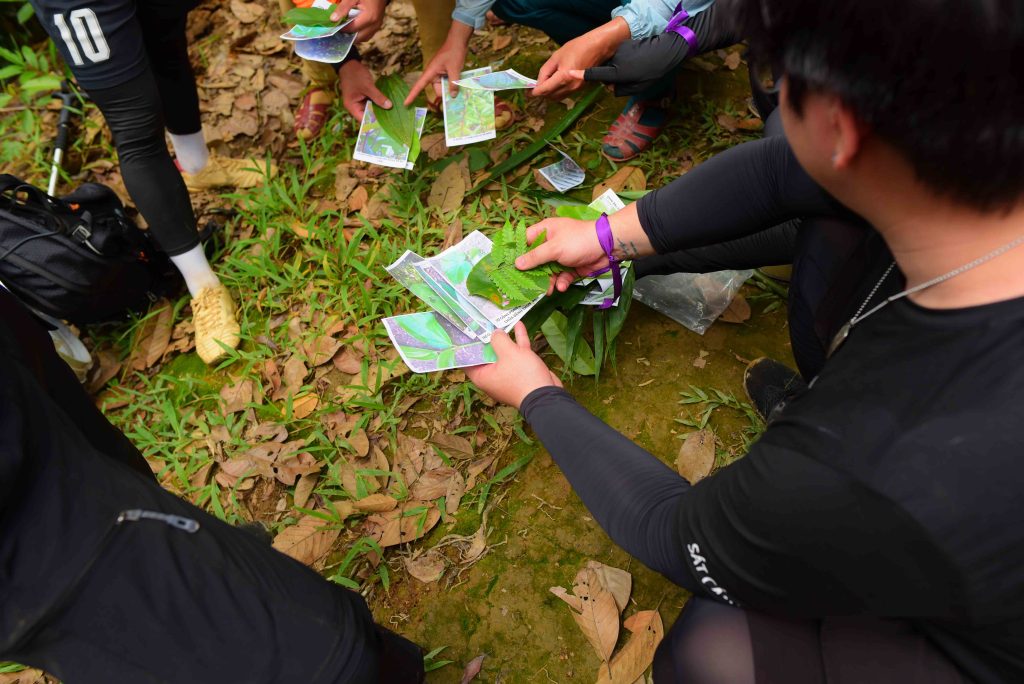 DLS trekking Tây Giang (3)